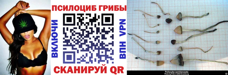 Купить  Арзамас  Псилоцибиновые грибы ЛСД 